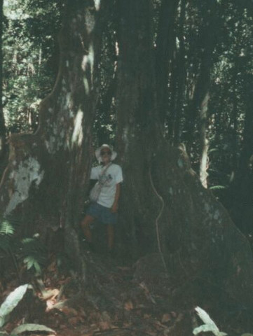 Moorea - Jerry With Tree